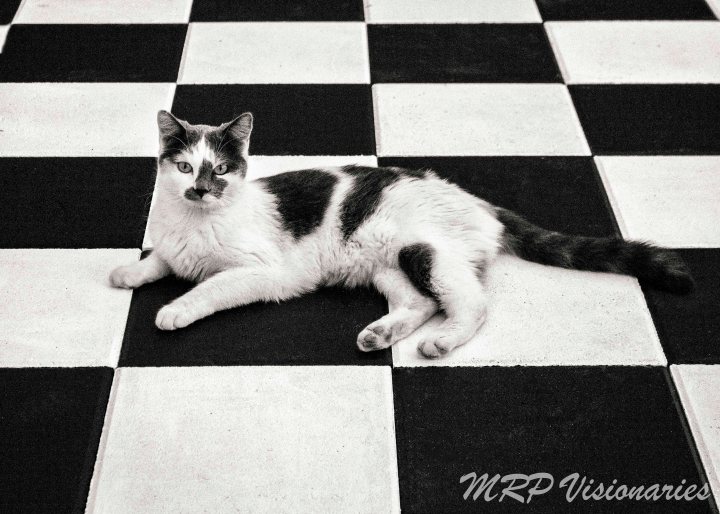 _mg_8753-edit-edit-2