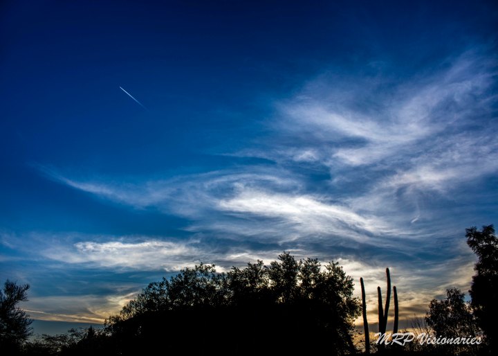 2016-02-17 20160228_9 -