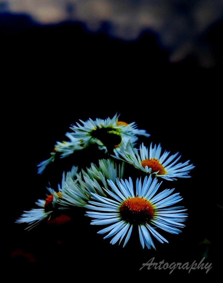 IMG_20190706_122031_710_20190706133020115