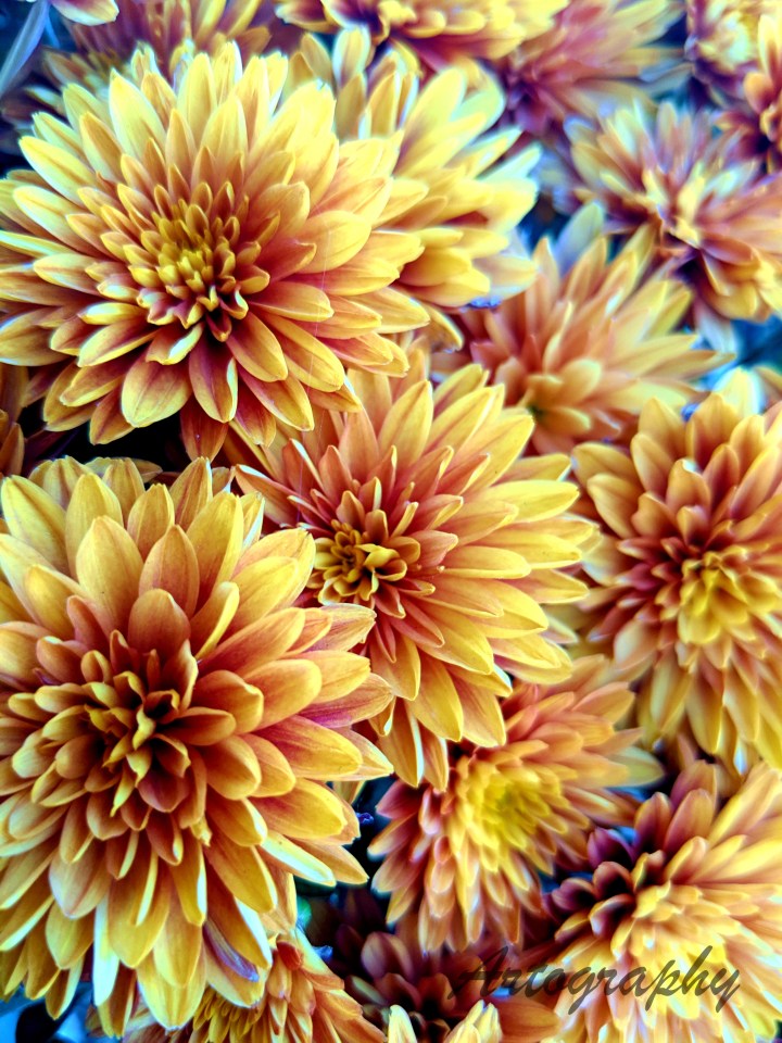 IMG_20191025_155058_1