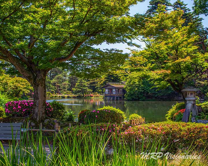 _MG_9176-Edit-2-Edit