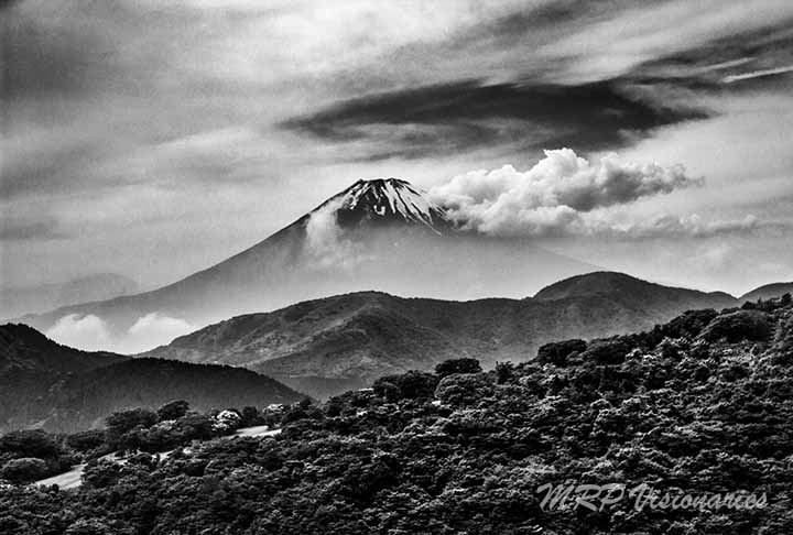 _MG_9869-Edit-Edit-4-Edit