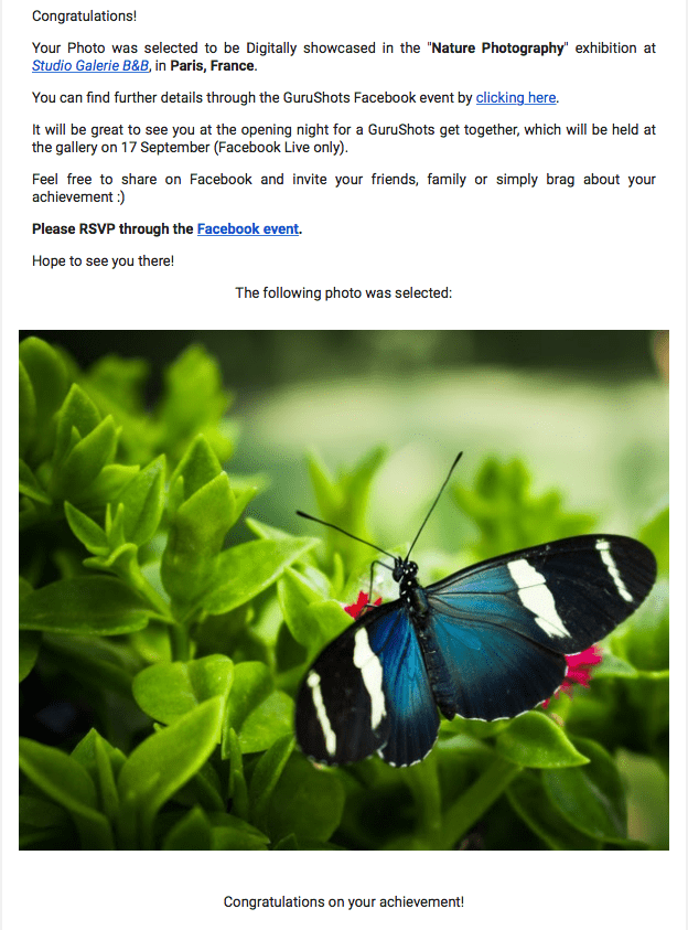 Screen Shot 2020-08-16 at 6.30.32 PM