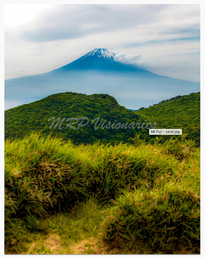 Screen Shot 2021-02-02 at 10.42.20