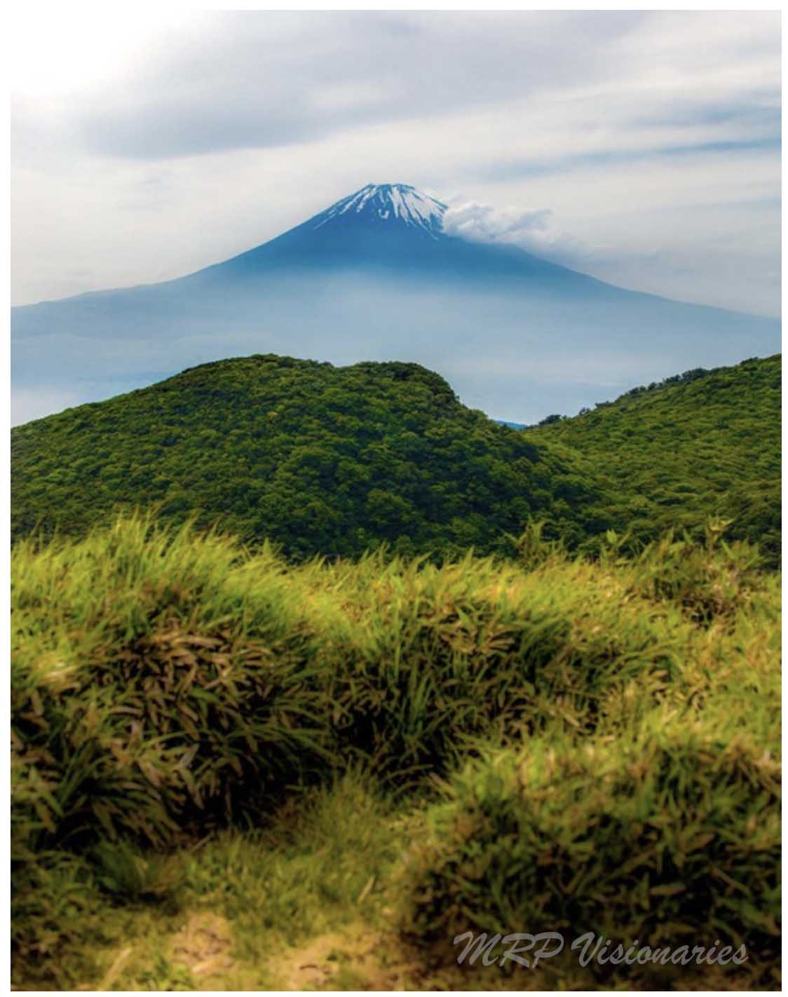 Screen Shot 2021-04-22 at 7.54.23 PM copy